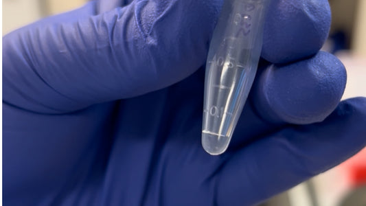 Tick Testing in Canada: Why You Should Never Throw a Tick Away